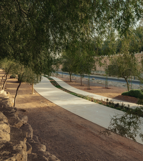 WADI HANIFAH